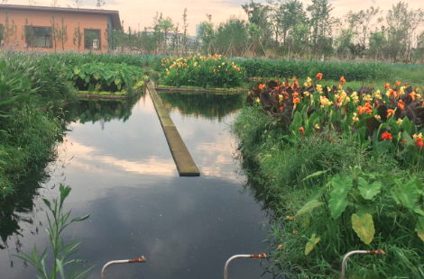 自調(diào)節(jié)循環(huán)凈化平臺(tái) 自調(diào)節(jié)循環(huán)凈化平臺(tái)